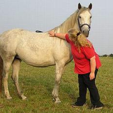 Anden særlig race Isabella