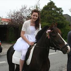 DSP Red Lady -  tidl. pony R.I.P :'(