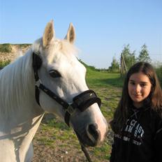 New Forest Firfod Aida