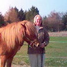 Islænder Silja fra Godthåb[SOLGT]