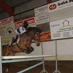 Anden særlig race Atlantic Atlas (solgt)