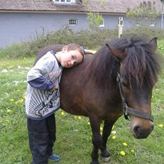 Anden særlig race Sisi ** død **  29/11 08