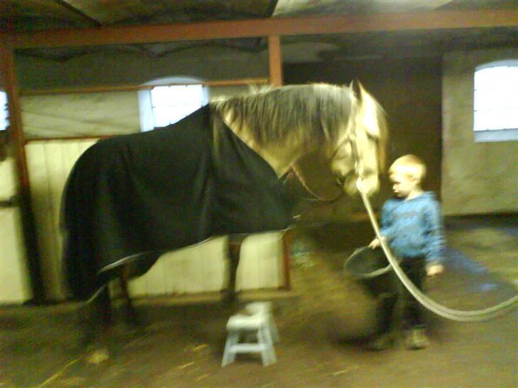 Anden særlig race Shanon´<3 Solgt...  - Shan er gó. <3 :) billede 5