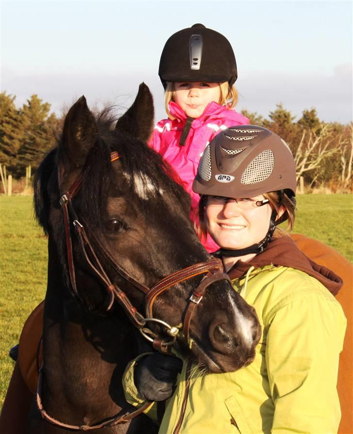 Anden særlig race Torpegårds Master SOLGT / - Min lillesøster og mig og master billede 5