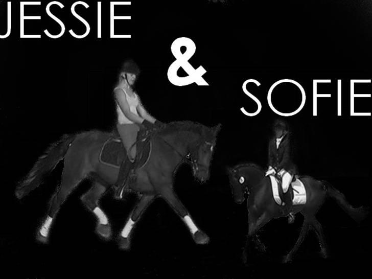 Anden særlig race Jessie A-pony - Solgt - INTERNATIONALT MILITARY STÆVNE MED DM I TERRÆN ! 3 plads :D billede 1
