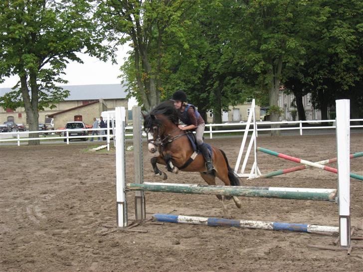 Irsk Sportspony Mr. Glen R.I.P. - Spring træning i NFRK billede 17