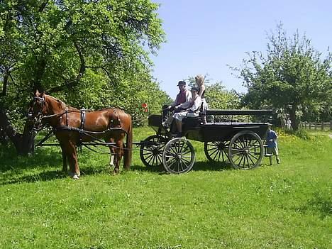 Frederiksborg Caletto Albæk - i den fynske landsby billede 5