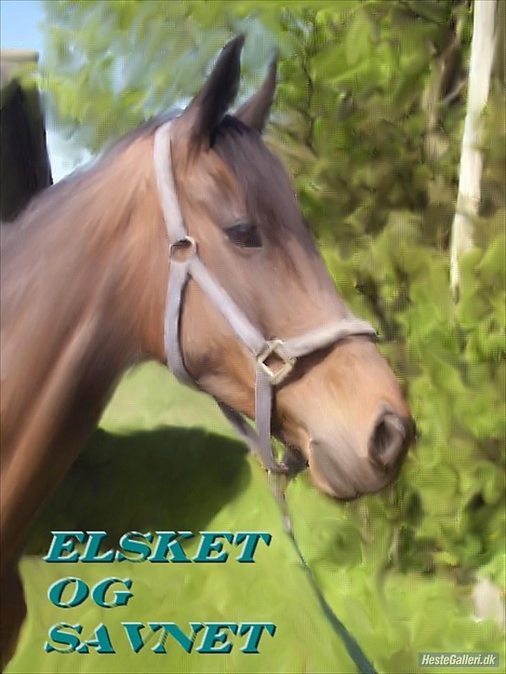 Fuldblod (XX) (¯`v´¯)Big ben(¯`v´¯) billede 1