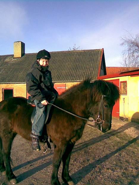 Islænder Bjalla Fra Slette Å solgt - Min fætter på 10 år. Hans første tur på Bjalla  billede 14