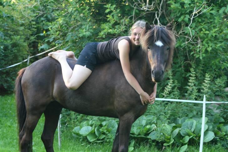 Islænder Háleggur fra S. Sognstrup - Hygge hjemme i haven [Taget af min mor] billede 18