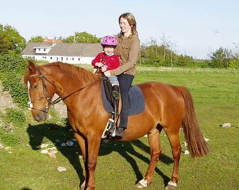 Anden særlig race Prins billede 8