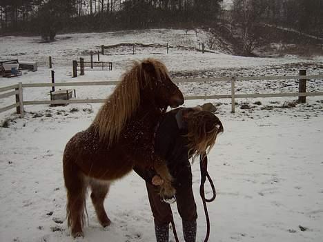 Anden særlig race *Lille-mand* - Mus mig. billede 7