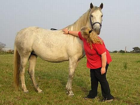 Anden særlig race Isabella - Bella med clairvoyant Heidi Bundgaard billede 3