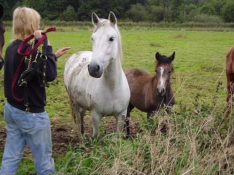 Anden særlig race Isabella - Mor, datter og mudder... billede 6