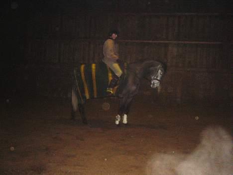 Anden særlig race Catwalk *SOLGT* - Smukke i dressur :D *BILLEDET MÅ IKKE BRUGES!* billede 4