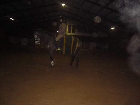 Anden særlig race Catwalk *SOLGT* - Parade <3 *BILLEDET MÅ IKKE BRUGES!* billede 10