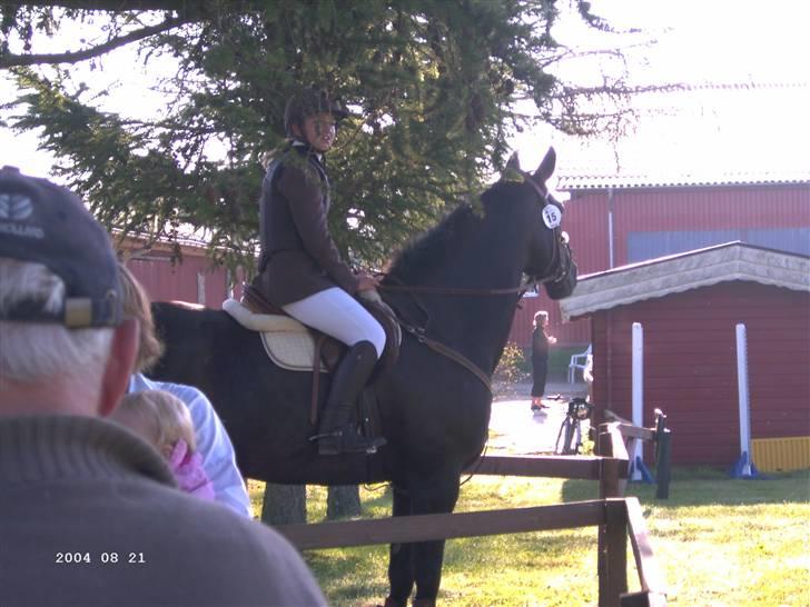 Anden særlig race Ebony *Solgt* - sommer 2007 billede 12