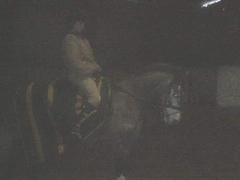 Anden særlig race Catwalk *SOLGT* - Musen <3333 *BILLEDET MÅ IKKE BRUGES!* billede 13