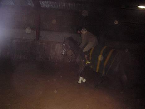 Anden særlig race Catwalk *SOLGT* - Klapper lige Catwalk <3 *BILLEDET MÅ IKKE BRUGES!* billede 18