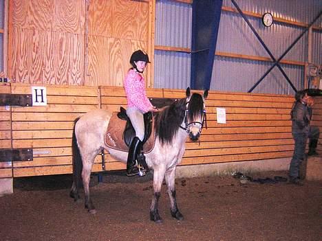 Anden særlig race Shanon´<3 Solgt...  - Så er vi ude og ride.. =) billede 12