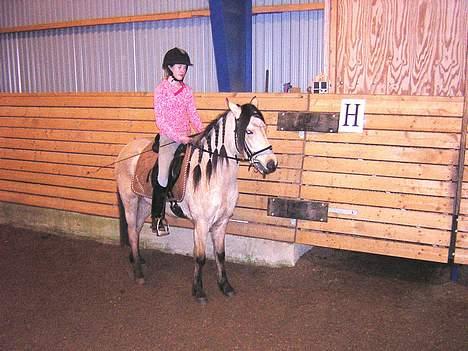 Anden særlig race Shanon´<3 Solgt...  billede 13