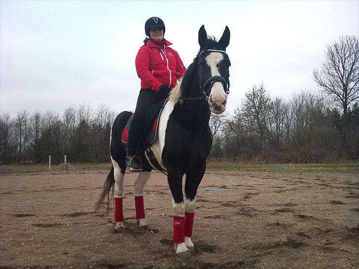 Pinto Enghøjgård's Tøsen - Velkommen til Tøsse´pigens profil :D billede 1