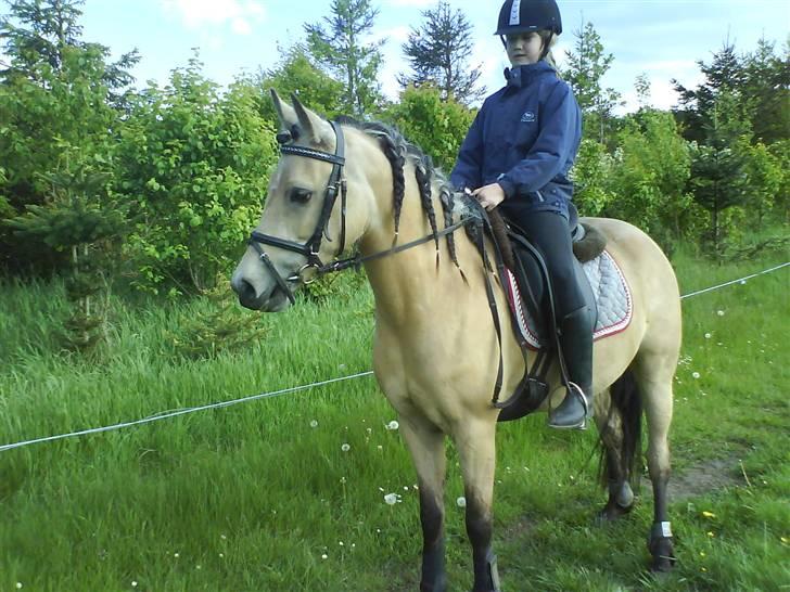 Anden særlig race Shanon´<3 Solgt...  - Shanon og Line. :D  I var så søde sammen <33 billede 19