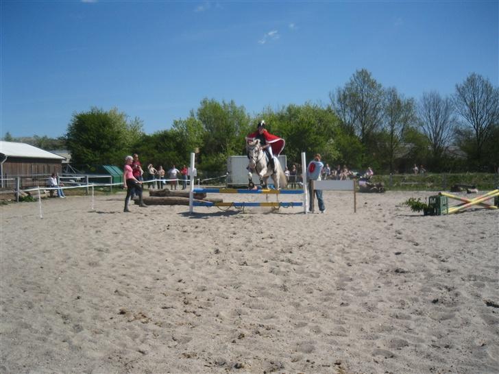 Appaloosa Spotlight / red / - i luften over springet  billede 11