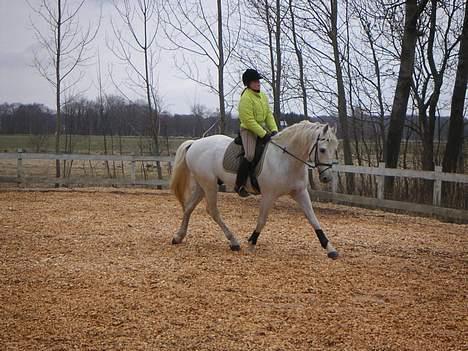 Anden særlig race Lindegaardens Argusan RIP :-( - Min første ridetur på Argusan hjemme ved mig selv billede 7