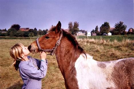 Pinto shades of desire SOLGT - han elsker bare at kysse...! faktisk er han bare et lille nussehoved..! billede 7