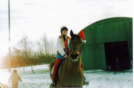 Anden særlig race Laban (R.I.P) billede 7