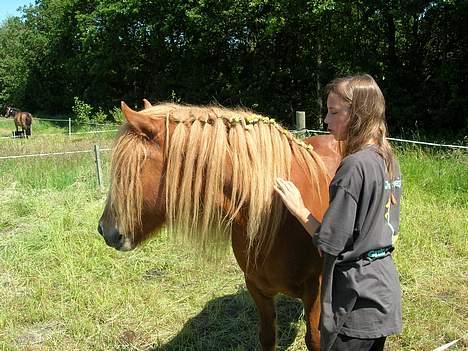Islænder Blesi fra Østermølle Død  - Vores første junior-lejr sammen, også skal vi være fine billede 7