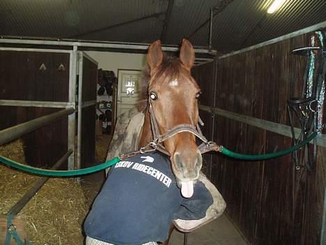 DSP Much ( R.I.P ) - smuk tunge du har dig, og god røv betinna ;P billede 16