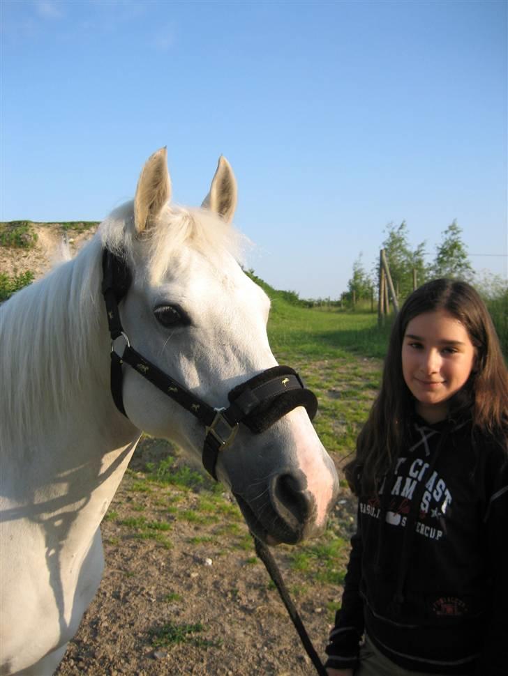 New Forest Firfod Aida - Sommerbillede af Aida og jeg for meget længe siden! billede 3