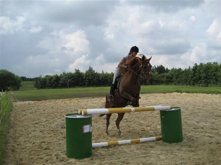 Anden særlig race Figaro <3 - Spring Juli 2007 billede 10