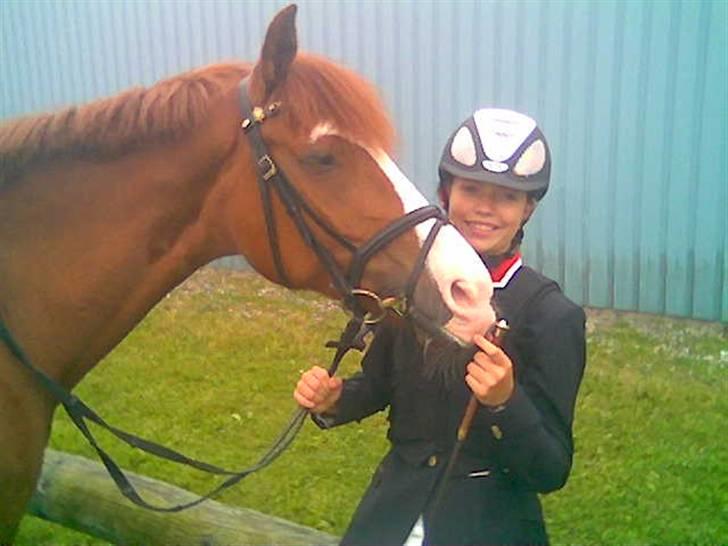 New Forest Reijnders Donna - Alfivet - PIFT PIFT (´: billede 5