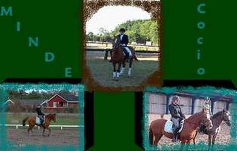 Sportsaraber (A) Cocio ¤død¤ - Cocio<3<3 Minde <3<3 Elsker dig 4 ever bby<3<3  billede 13