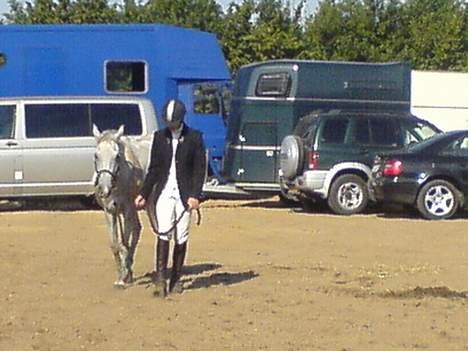 Anden særlig race Flicka(solgt ) * - ude at strække benene inden vi skulle hjem billede 12