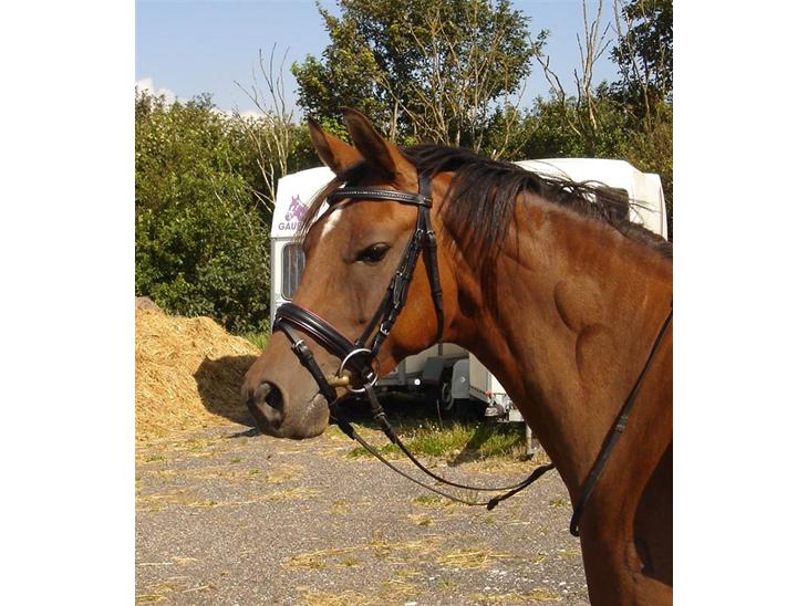 {{currentPhoto.altText}} billede {{currentPhoto.number}}