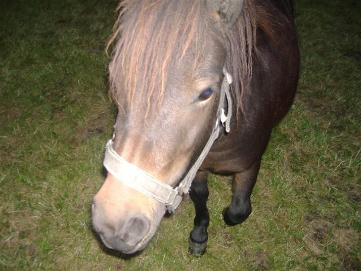 {{currentPhoto.altText}} billede {{currentPhoto.number}}