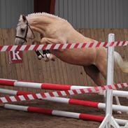 DSP Nørlunds Estrella