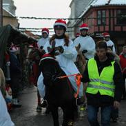 Anden særlig race Casami