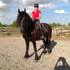 Frieser Zaffa AF Fugleholt (mors)