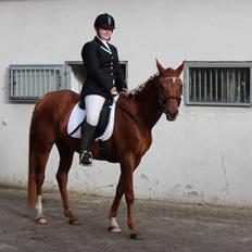 Arabisk fuldblod (OX) Zakiyah El Azraff