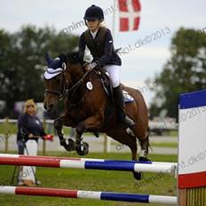 Welsh Pony (sec B) Victoria Madly <3 (A pony)