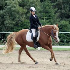 Anden særlig race Chance