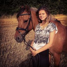 Anden særlig race Bell 