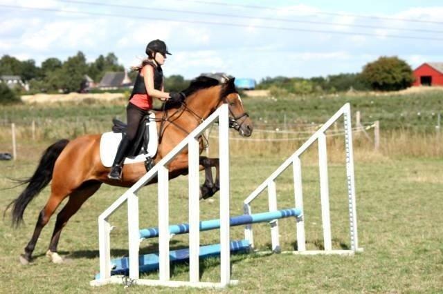 DSP Troja min dejlige part! billede 10