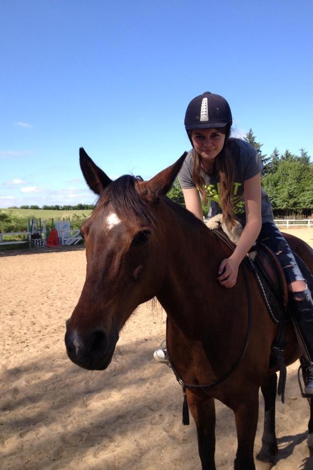 Anden særlig race Cargo billede 4