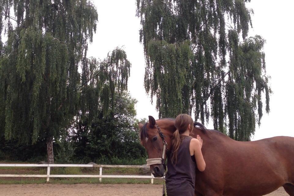 Anden særlig race Cargo billede 5